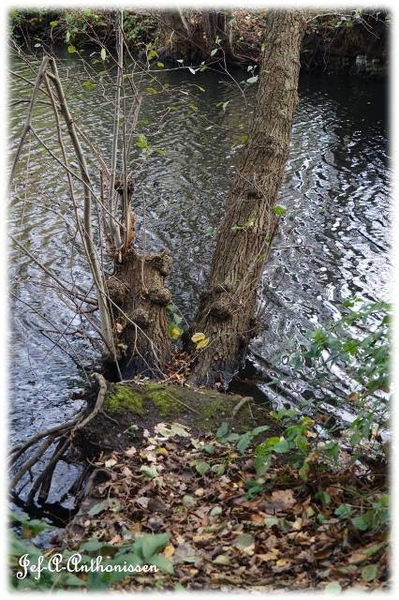 Antwerpen, Bouckenborghpark,