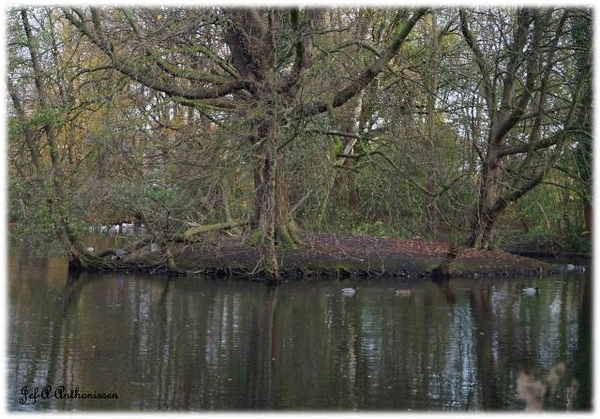 Antwerpen, Bouckenborghpark,