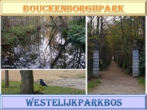 Bouckenborghpark.