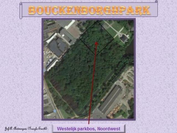 Antwerpen, Bouckenborghpark,