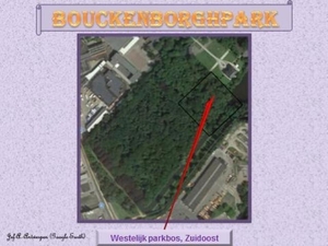 Luchtfoto Google-Earth. Bouckenborghpark.