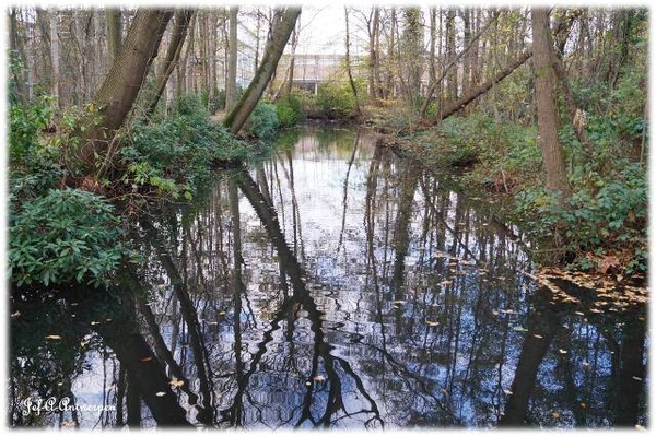 Antwerpen, Bouckenborghpark,