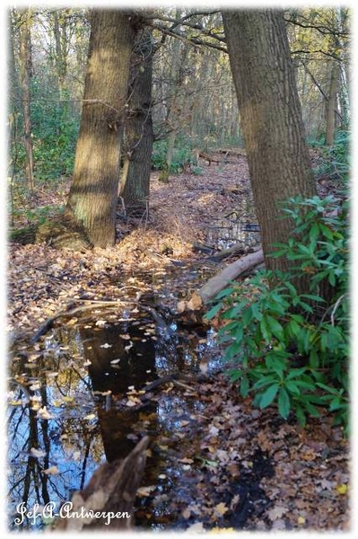 Antwerpen, Bouckenborghpark,