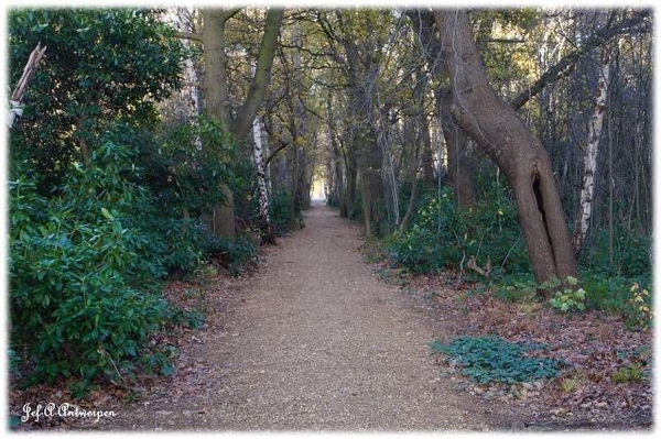 Antwerpen, Bouckenborghpark,