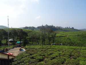 5B Thekkady--Kumarakom, Theeplantages _DSC00293