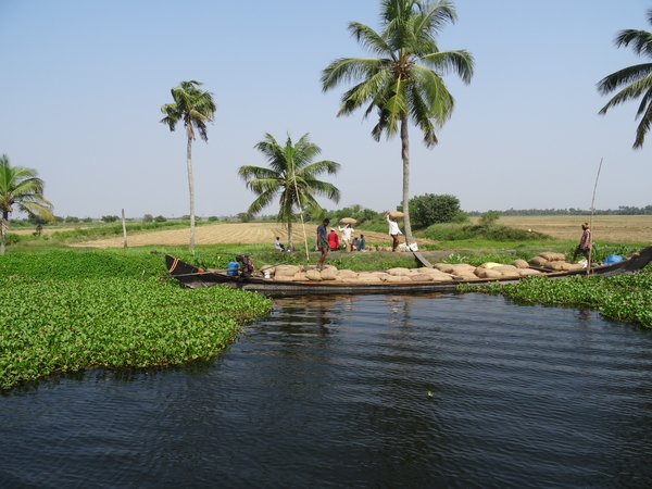 5I Backwaters, houseboat _DSC00354