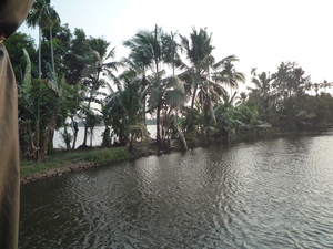 5M Backwaters, houseboat, _P1230011