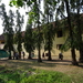 6C Kochi, Dutch Palace _DSC00381