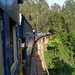 7C Coonoor--Ooty, stoomtreinrit _DSC00428