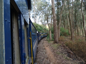 7C Coonoor--Ooty, stoomtreinrit _DSC00443