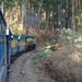 7C Coonoor--Ooty, stoomtreinrit _DSC00448