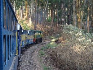 7C Coonoor--Ooty, stoomtreinrit _DSC00448