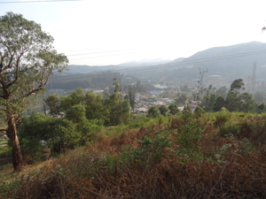 7C Coonoor--Ooty, stoomtreinrit _DSC00449