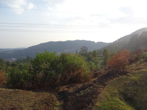 7C Coonoor--Ooty, stoomtreinrit _DSC00451