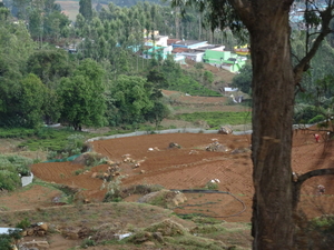 7C Coonoor--Ooty, stoomtreinrit _DSC00453