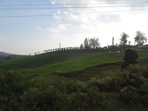 7C Coonoor--Ooty, stoomtreinrit _DSC00468