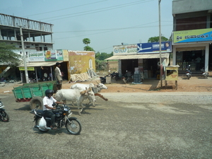 8F Mysore--Somnathpur _P1230139