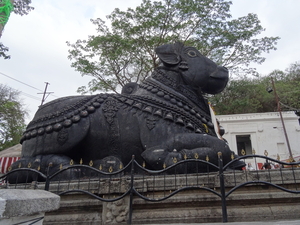 8R Mysore omg.  Bull Temple _DSC00641