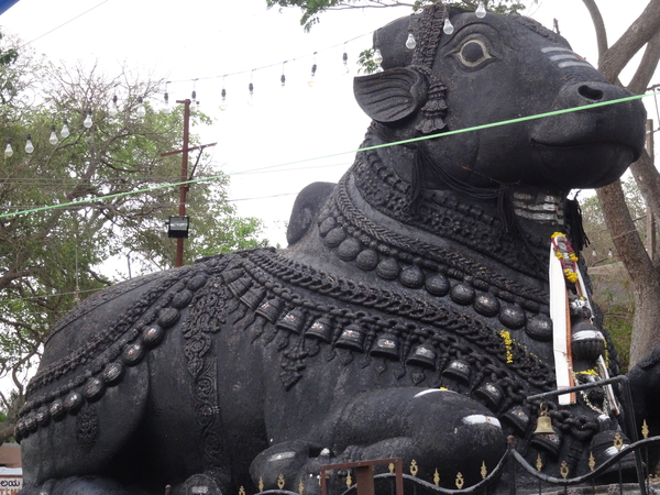 8R Mysore omg.  Bull Temple _DSC00646