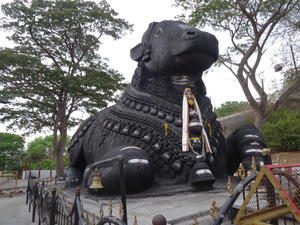 8R Mysore omg.  Bull Temple _DSC00647