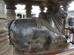 9G Halebid, Hoysaleswara tempel _DSC00736