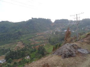 7C Coonoor--Ooty, stoomtreinrit _DSC00464