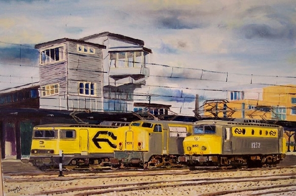 31