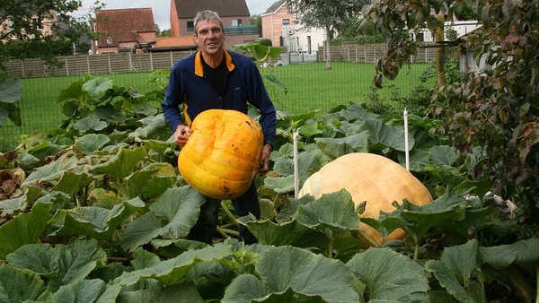 Leo PEETERS met dikste pompoen