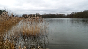 20160109_133921
