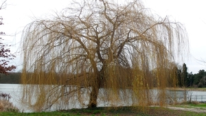 20160109_140901