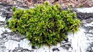 20160109_145738