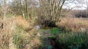 P1410464