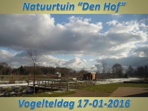 2016-01-17 VOGELTELDAG
