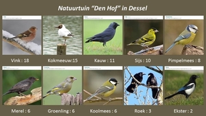 Vogelteldag 01