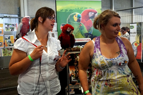 Petsotic2016-Expohallen-11-9-2016