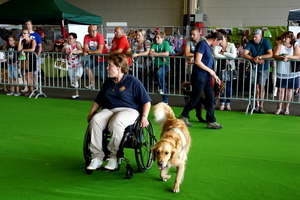 Petsotic2016-Expohallen-11-9-2016