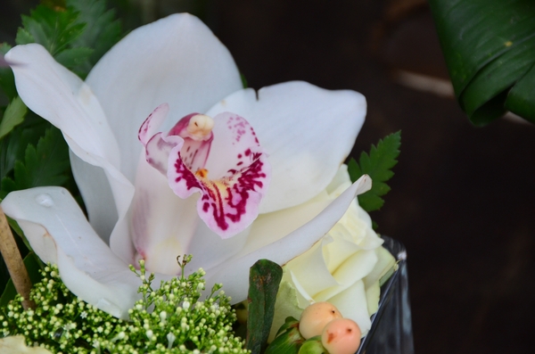 001  GREETINGS ......