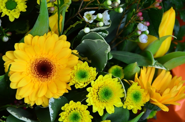 001  EEN BOEKETJE....EN EEN LACHJE !