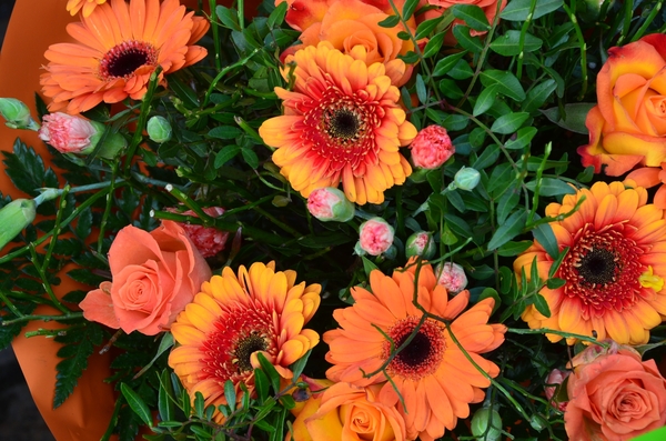 001     PASSIE......BRUGGE !