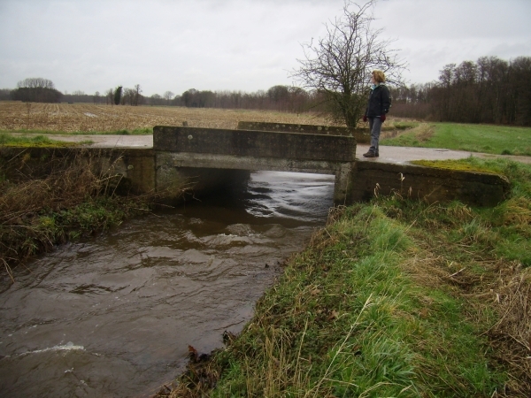 2016-02-02 KKT Zoersel-Wechelderzande (11)