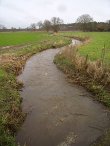 2016-02-02 KKT Zoersel-Wechelderzande (12)