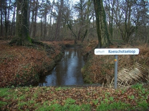 2016-02-02 KKT Zoersel-Wechelderzande (25)