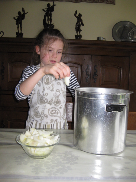 58) Stukjes ajuin bijvoegen