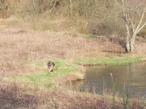 lekker rennen langs de rivier