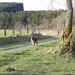 heerlijk wandelen is het hier