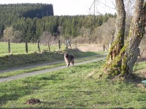 heerlijk wandelen is het hier