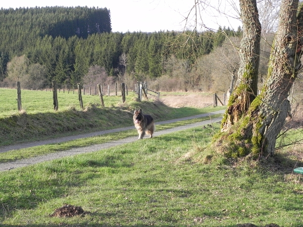 heerlijk wandelen is het hier