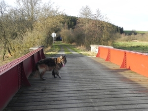 Bajka op de brug