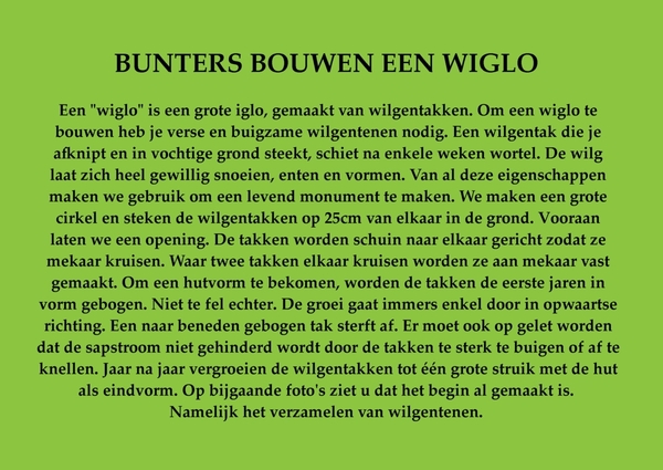 WIGLO 01(GS)