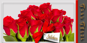 Jolleke project 23.3